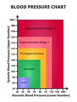 Track Your Blood Pressure Daily